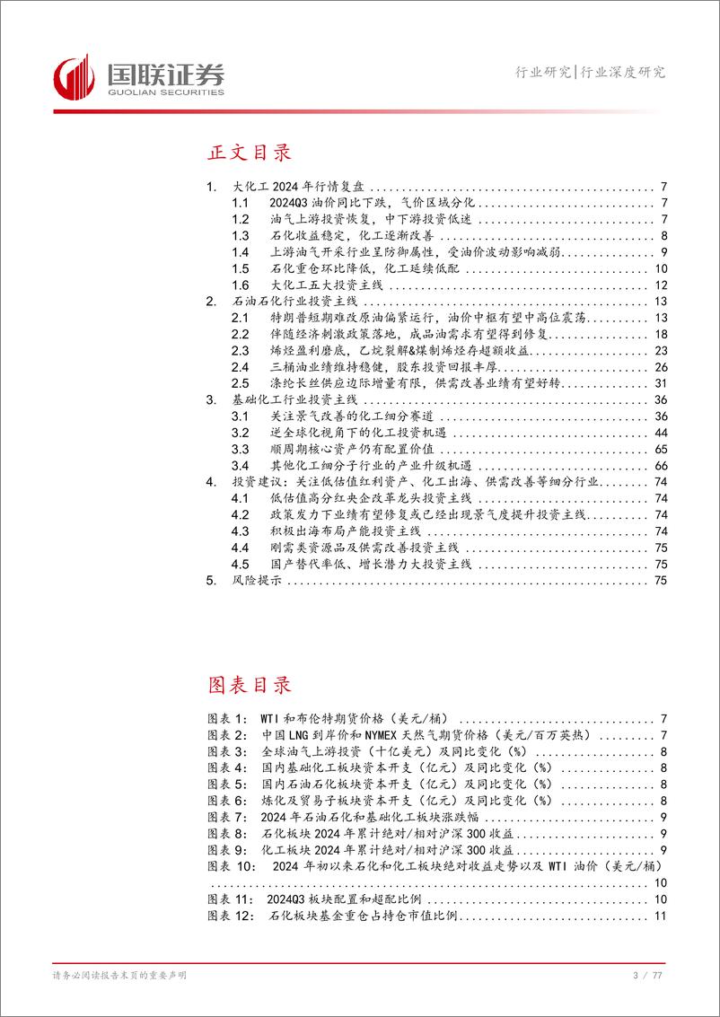 《大化工行业2025年度投资策略：2025，大化工大有可为-国联证券-241218-78页》 - 第4页预览图