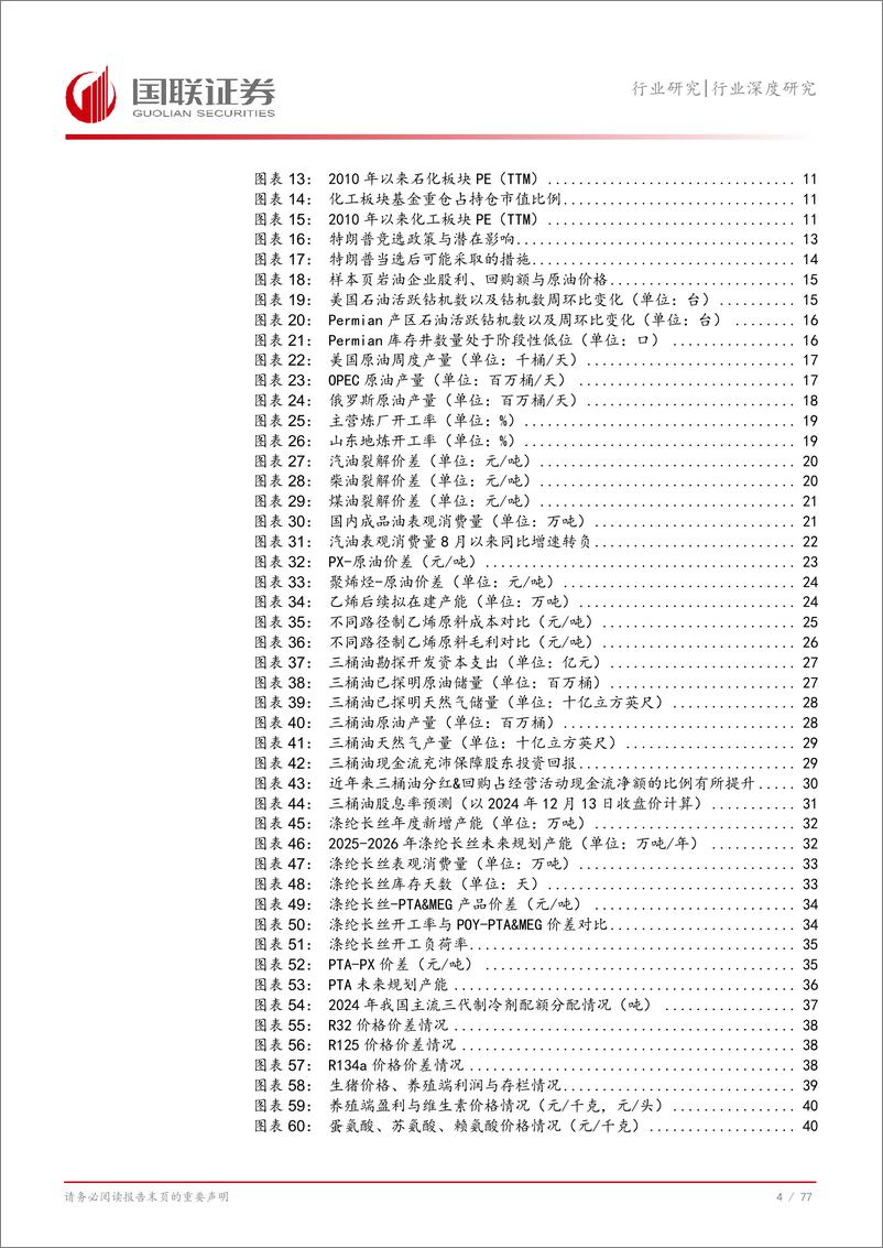 《大化工行业2025年度投资策略：2025，大化工大有可为-国联证券-241218-78页》 - 第5页预览图