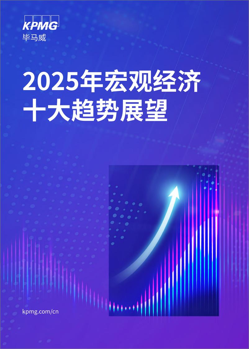 《2025年宏观经济十大趋势展望-毕马威-2024-19页》 - 第1页预览图