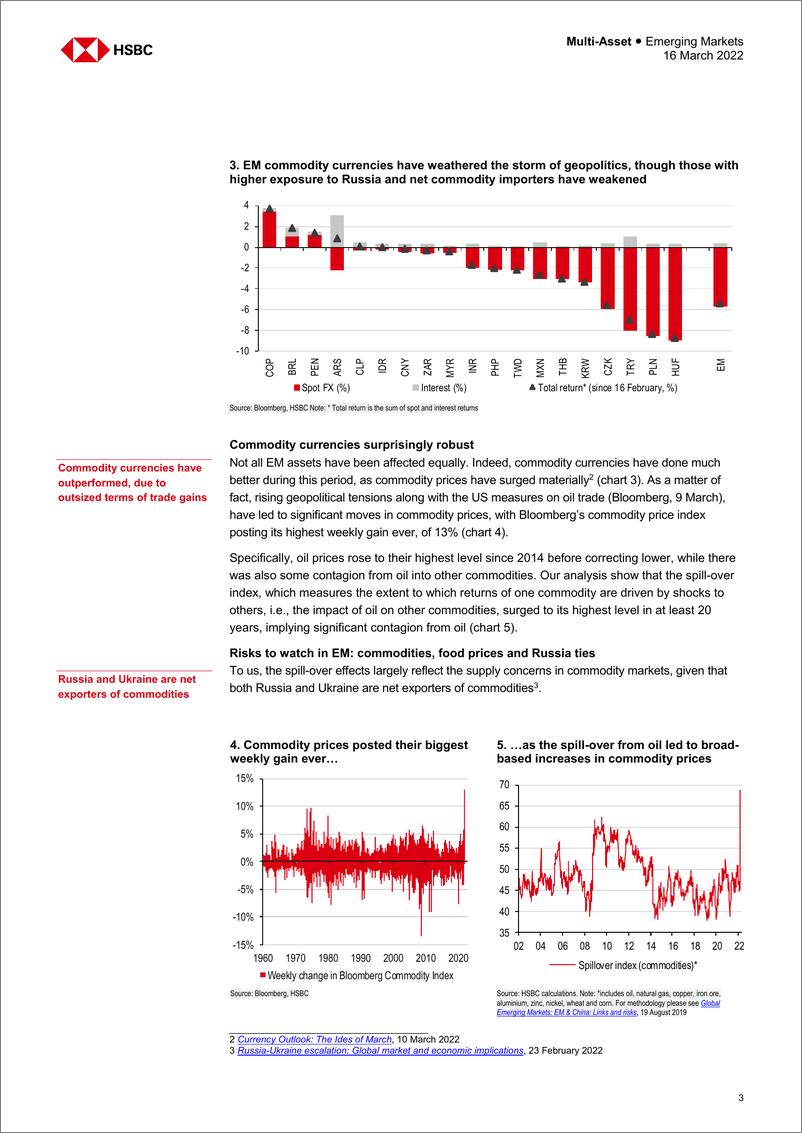 《HSBC-新兴市场投资策略-大宗商品冲击、食品通胀、俄罗斯风险敞口-2022.3.16-24页》 - 第4页预览图