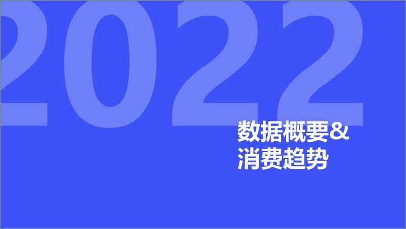 《魔镜市场情报：2022年度消费新潜力白皮书》 - 第5页预览图