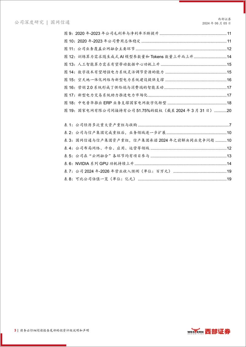 《国网信通(600131)首次覆盖：电力数字化行业龙头，有望受益于算力集群电能需求-240605-西部证券-22页》 - 第3页预览图