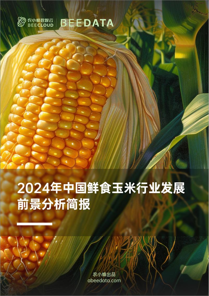 《2024年中国鲜食玉米行业发展前景分析简报-20页》 - 第1页预览图