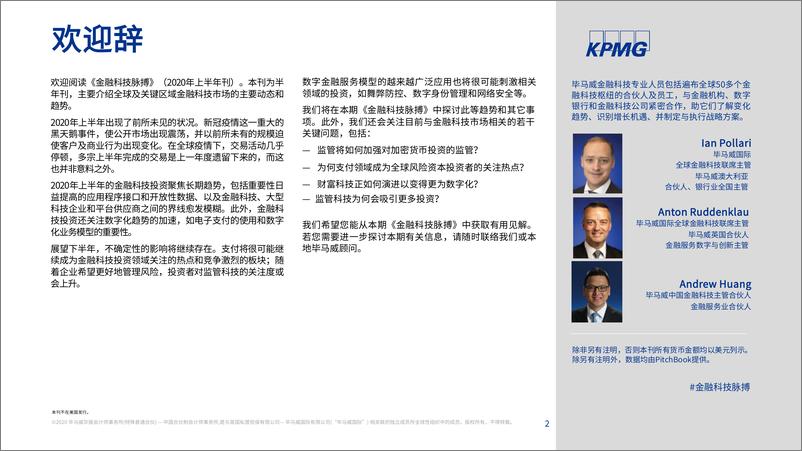 《毕马威KPMG：2020年上半年金融科技脉搏.pdf》 - 第2页预览图