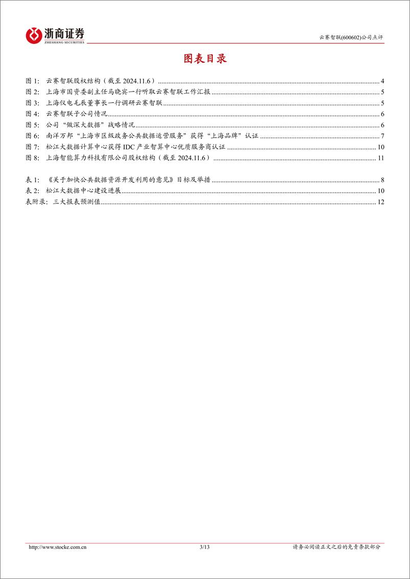 《云赛智联(600602)点评报告：背靠上海国资，数据要素%2b算力双轮驱动-241107-浙商证券-13页》 - 第3页预览图