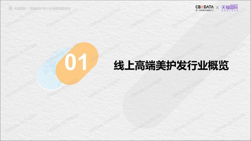 《高端美护发行业消费洞察报告》 - 第3页预览图