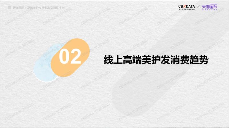 《高端美护发行业消费洞察报告》 - 第6页预览图