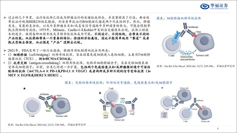 《双抗行业系列报告(一)：从肿瘤到自免，TCE双抗迎来新机遇-241228-华福证券-41页》 - 第4页预览图