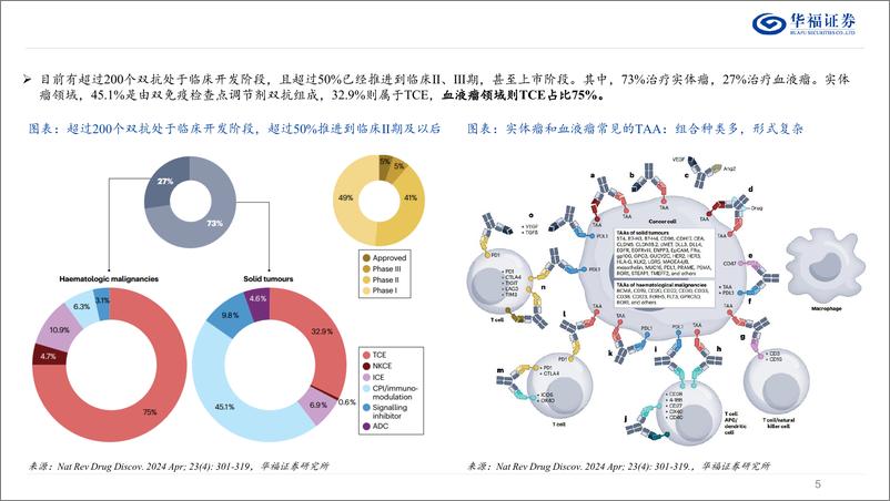 《双抗行业系列报告(一)：从肿瘤到自免，TCE双抗迎来新机遇-241228-华福证券-41页》 - 第5页预览图