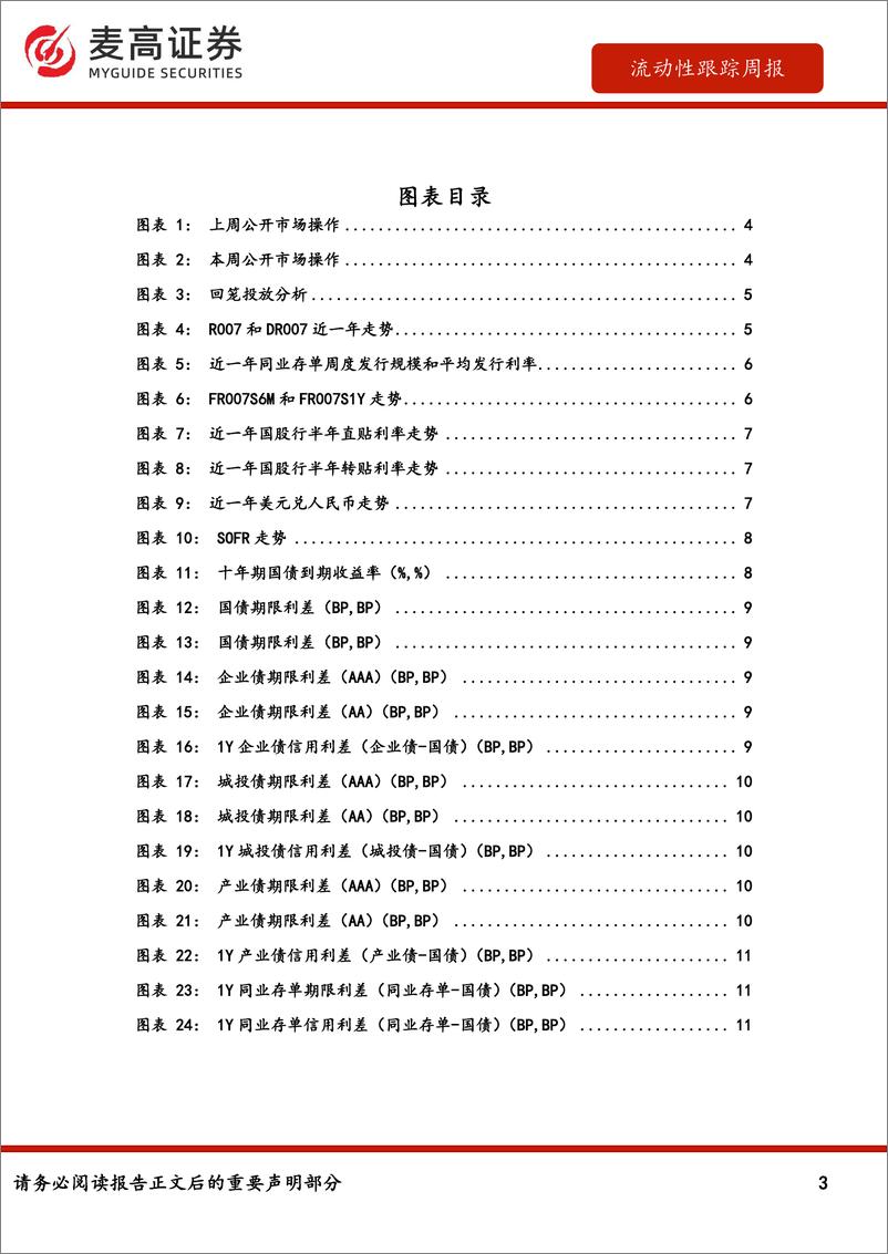 《流动性跟踪-241223-麦高证券-13页》 - 第3页预览图