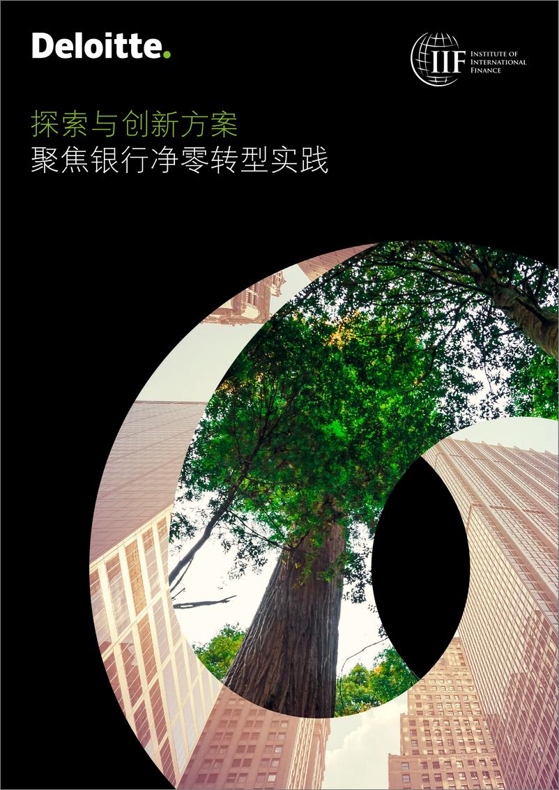 《探索与创新方案：聚焦银行净零转型实践-30页》 - 第1页预览图