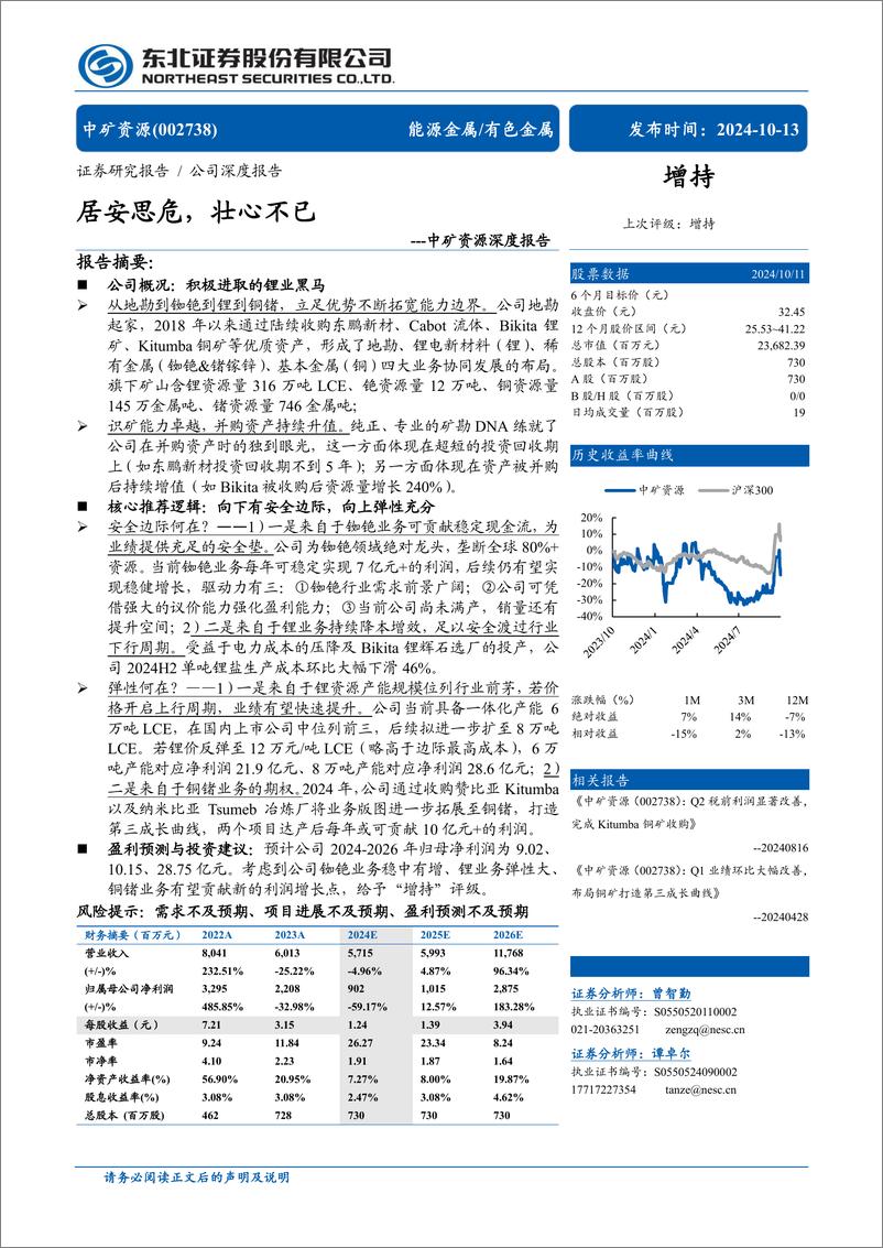 《中矿资源(002738)深度报告：居安思危，壮心不已-241013-东北证券-29页》 - 第1页预览图