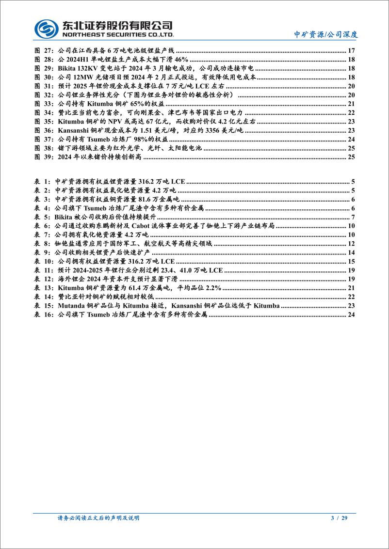 《中矿资源(002738)深度报告：居安思危，壮心不已-241013-东北证券-29页》 - 第3页预览图