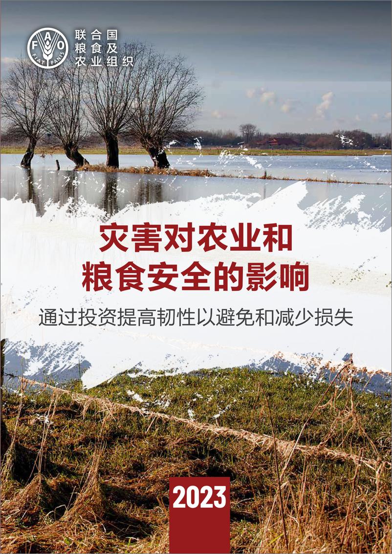 《FAO_ 2023年灾害对农业和粮食安全的影响--中文版》 - 第1页预览图