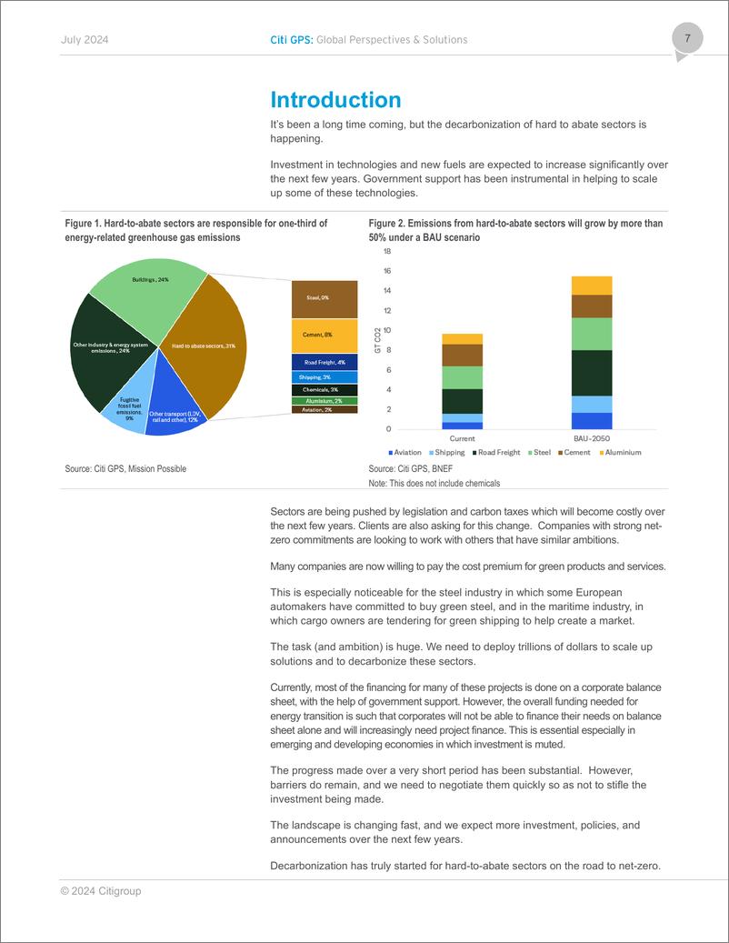 《2024难以减少的部门和排放报告_II__英文版_-Citi花旗银行》 - 第7页预览图