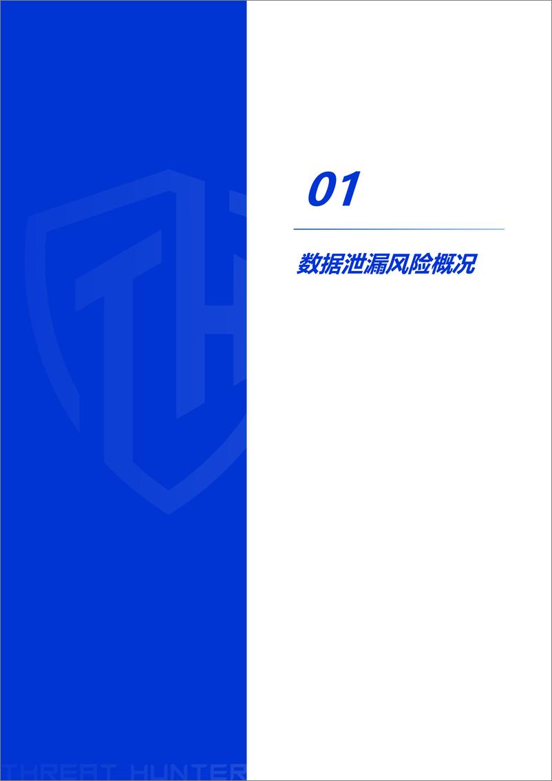 《2022年数据资产泄露分析报告-28页》 - 第5页预览图