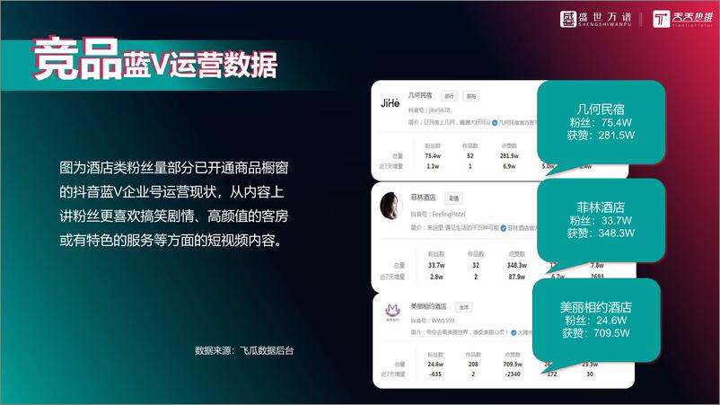 《酒店类抖音代运营方案（综合）》 - 第5页预览图