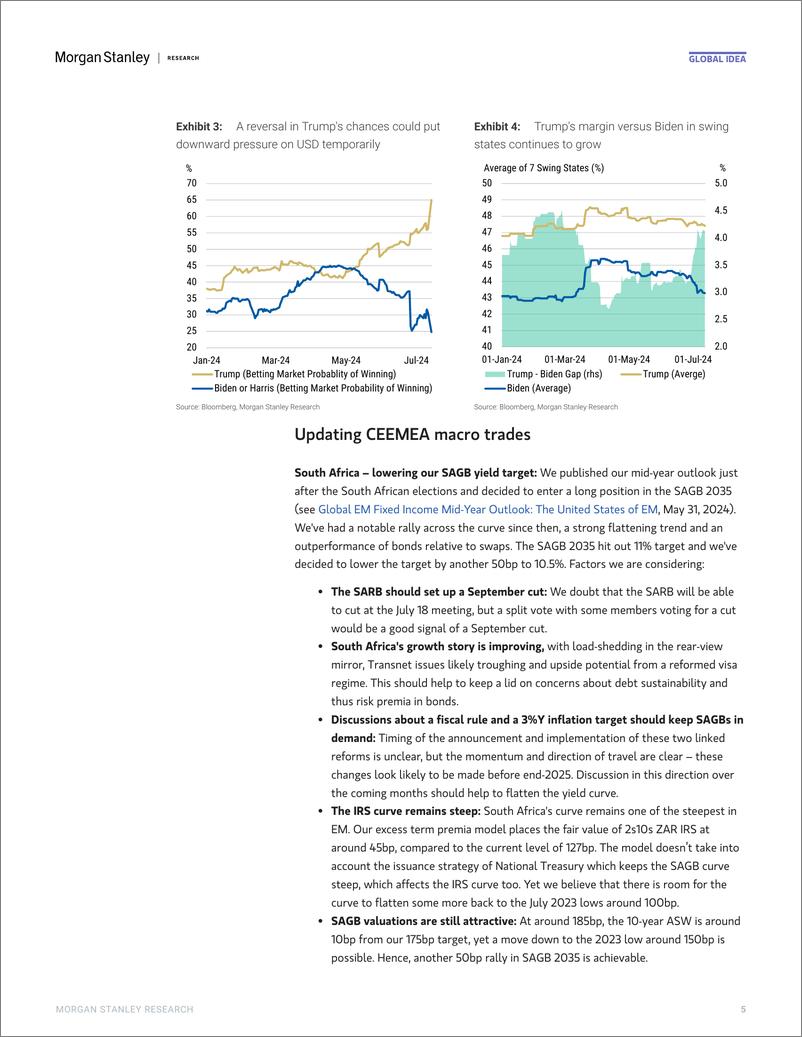 《Morgan Stanley Fixed-Global EM Strategist USD Weakness Is Not Sustainable-109233049》 - 第5页预览图