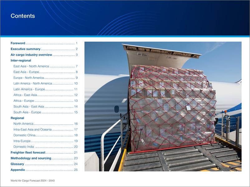 《2024-2043年世界航空货运预测报告》 - 第2页预览图