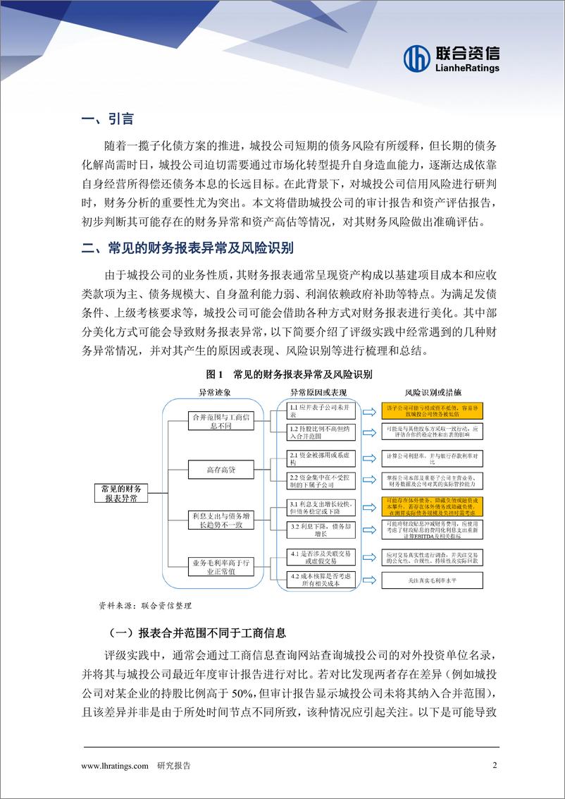 《透过审计报告和资产评估报告识别城投公司财务风险》 - 第2页预览图