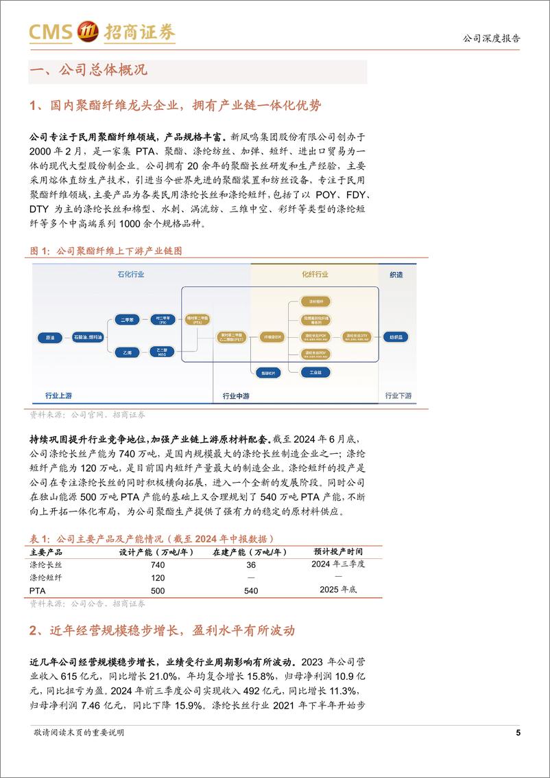 《新凤鸣(603225)国内聚酯纤维龙头企业，持续打造全产业链优势-241128-招商证券-22页》 - 第5页预览图