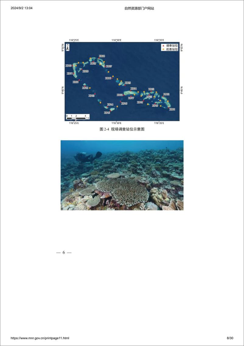 《自然资源部南海发展研究院_2024年仙宾礁珊瑚礁生态系统调查报告》 - 第8页预览图