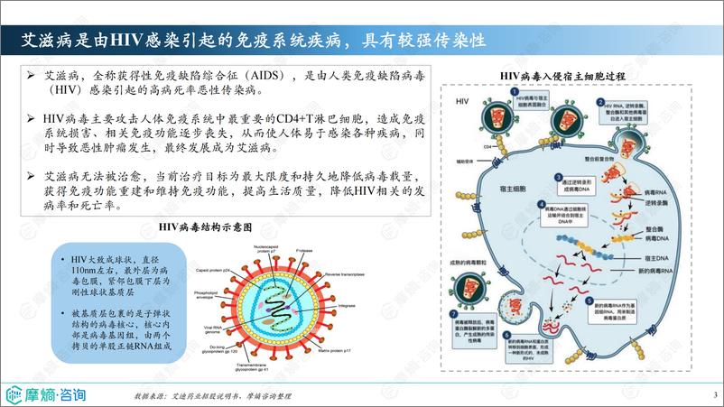 《2024年市场研究专题报告六-抗HIV药物》 - 第3页预览图