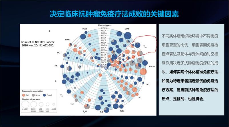 《李斌_个体化免疫疗法的现状和未来》 - 第8页预览图