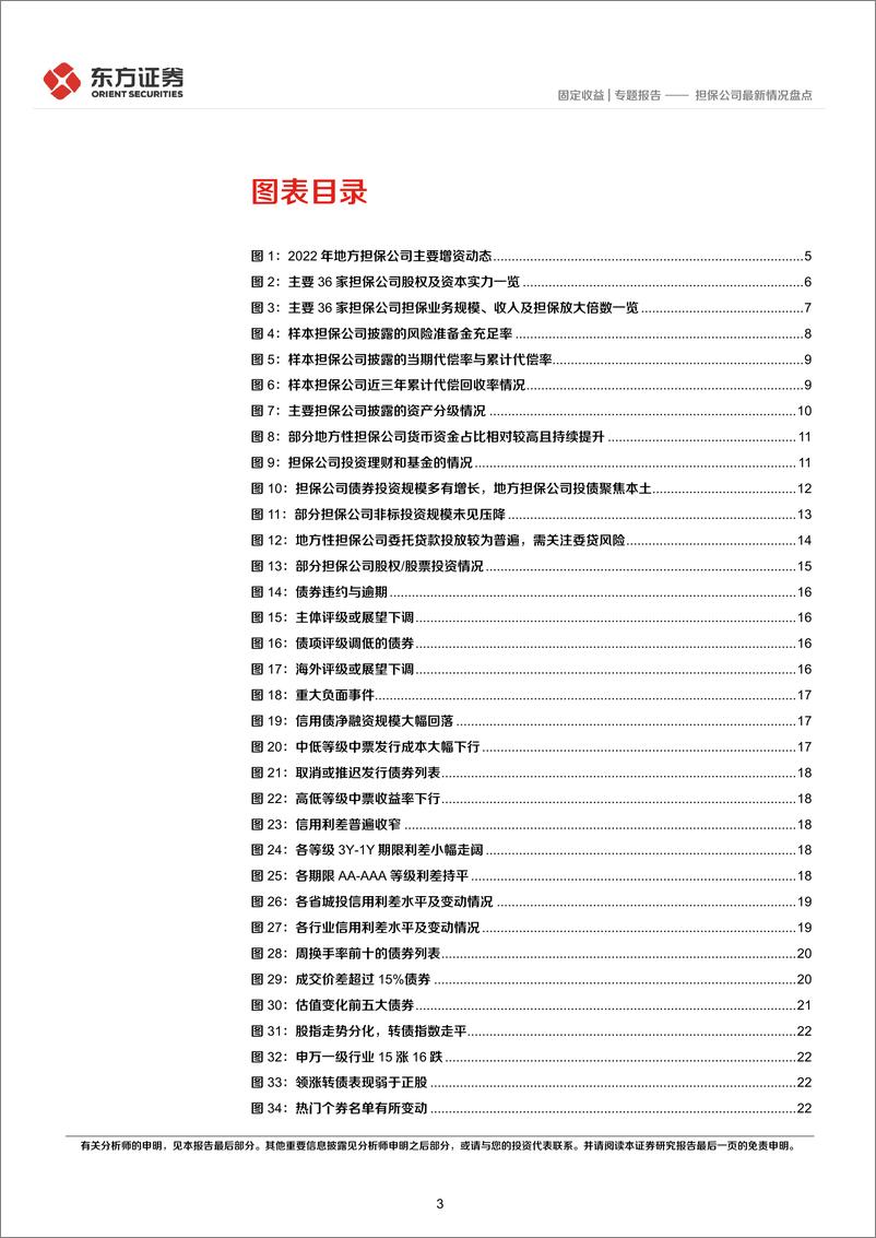 《固定收益专题报告：担保公司最新情况盘点-20220917-东方证券-27页》 - 第4页预览图