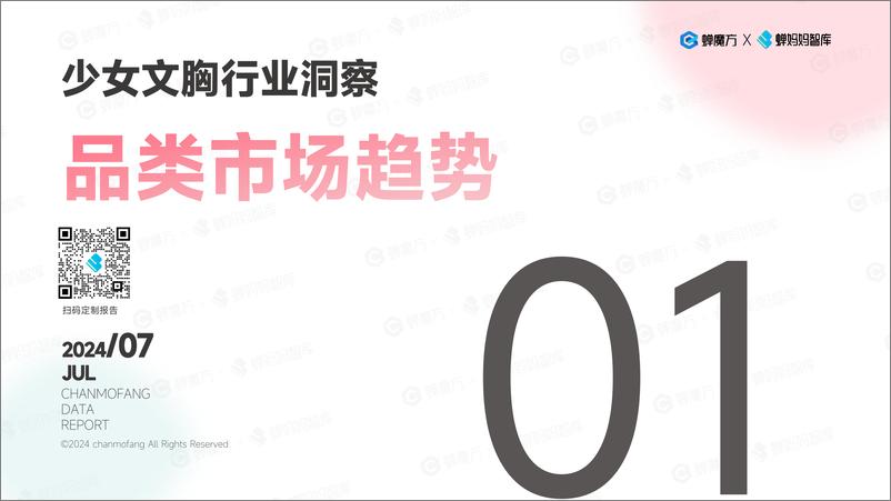 《蝉妈妈：2024幸棉品牌拆解报告-31页》 - 第4页预览图