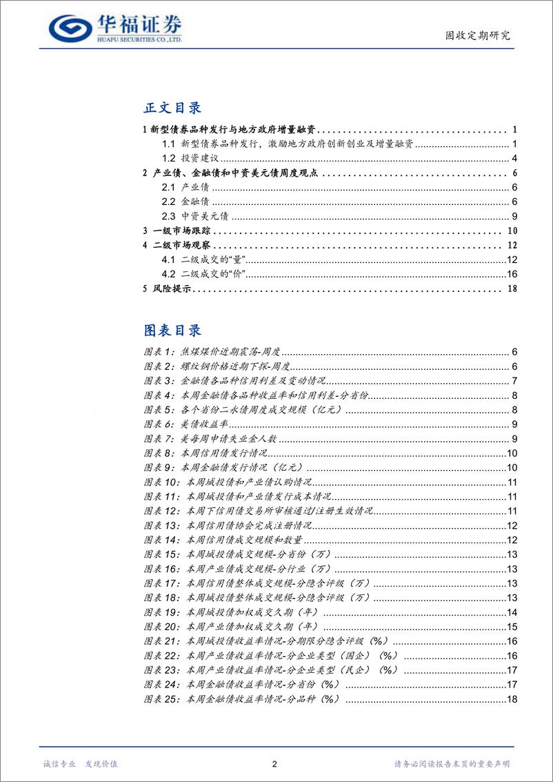 《【华福固收】新型债券品种发行与地方政府增量融资-240630-华福证券-21页》 - 第2页预览图