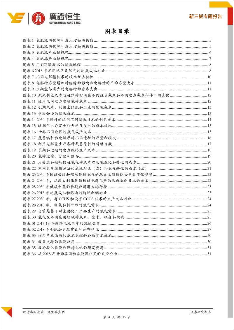 新三板专题报告：机遇已至，解析IEA《氢能的未来》-20190710-广证恒生-35特 - 第5页预览图