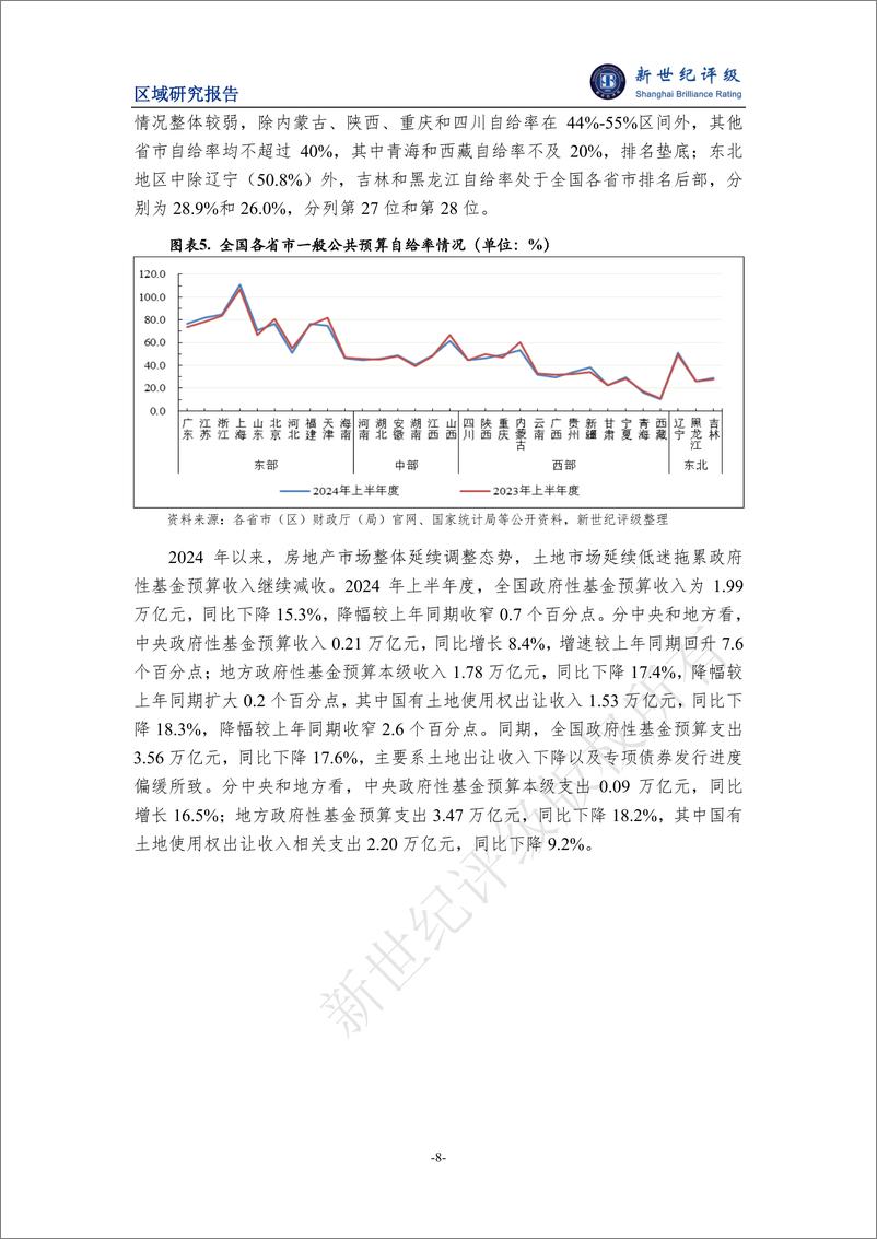 《2024年上半年度全国及各省市经济财政情况简析-13页》 - 第8页预览图