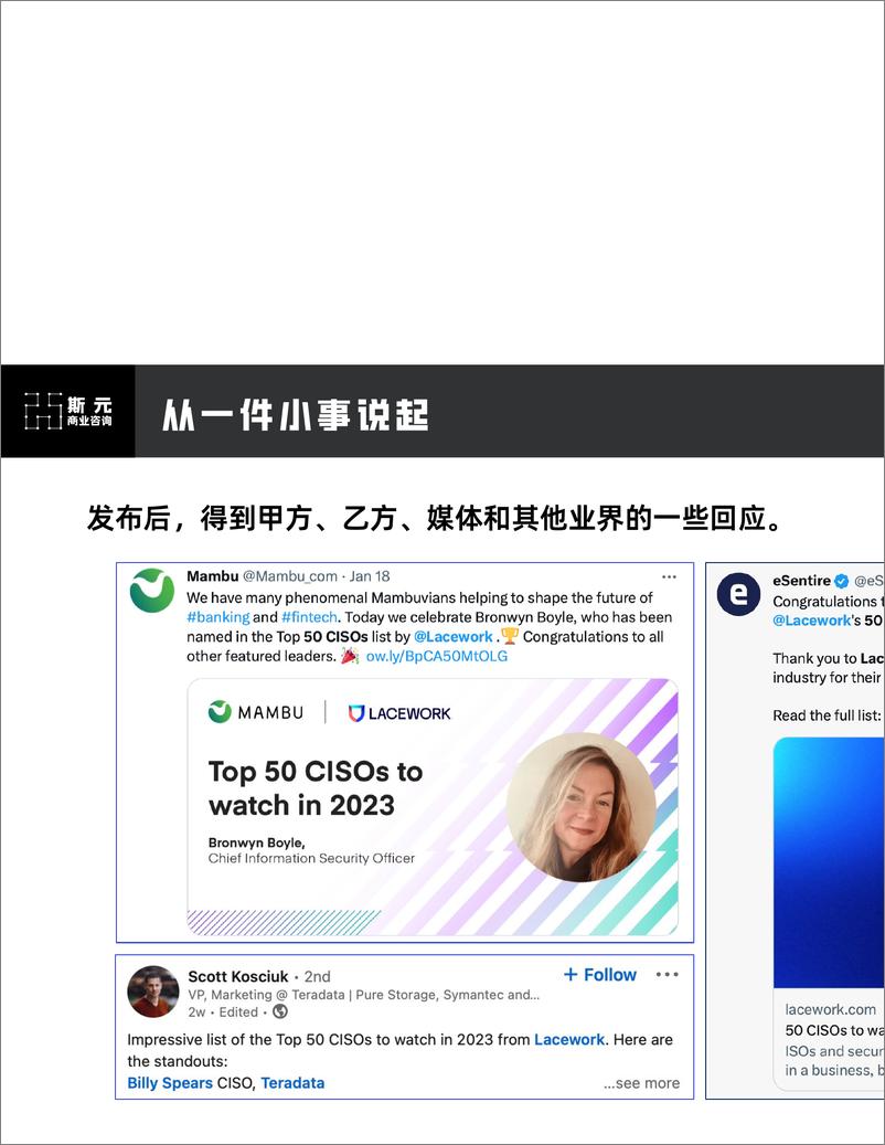 《网络安全商业观察｜斯元商业咨询·节选版-32页》 - 第4页预览图