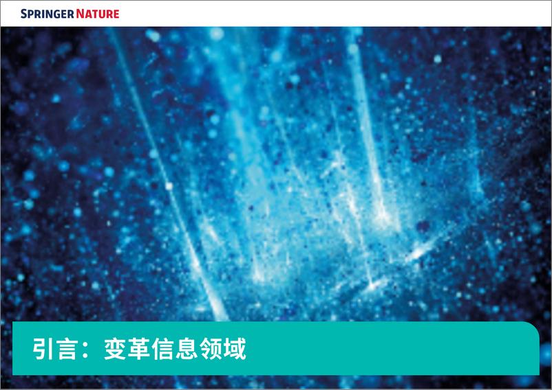 《Springer Nature_2024揭开文本和数据挖掘的力量_TDM促进变革性发现的四种方式白皮》 - 第2页预览图