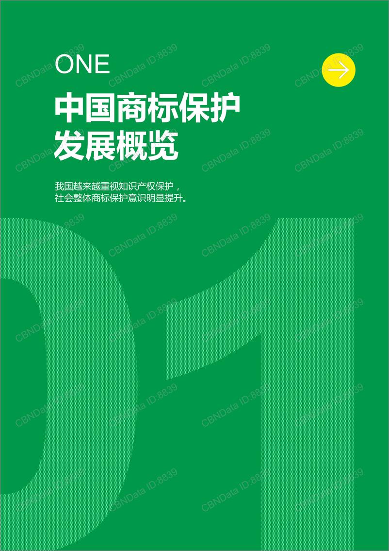 《中国消费者商标保护态度洞察白皮书-2022.08-40页-WN9》 - 第5页预览图