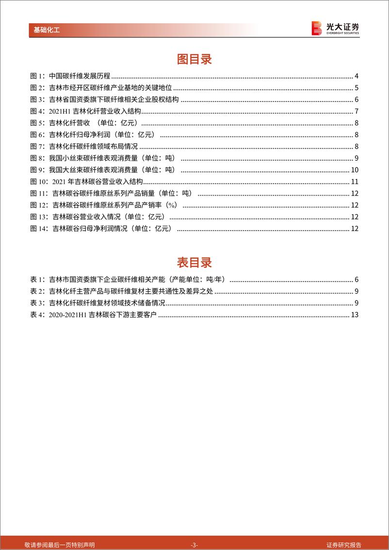 《碳纤维行业动态跟踪报告：政策扶持叠加市场机遇，看好吉林碳纤维产业快速发展-20220426-光大证券-15页》 - 第4页预览图