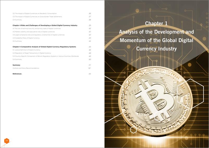 《2024全球数字货币发展报告_英文版_-国际金融论坛》 - 第4页预览图