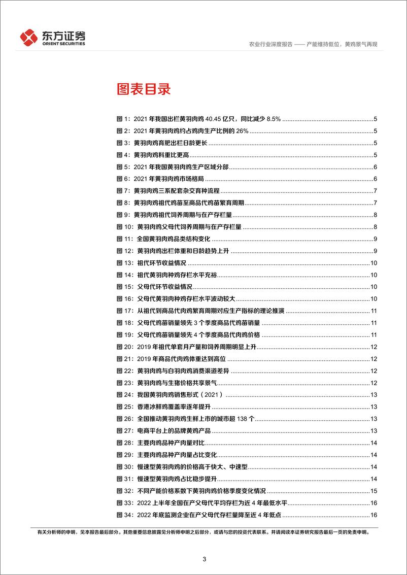 《农业禽养殖专题之三：产能维持低位，黄鸡景气再现-20230115-东方证券-20页》 - 第4页预览图