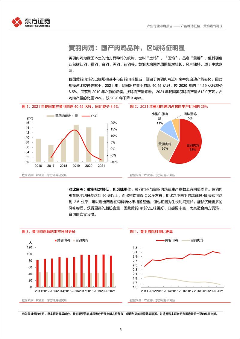 《农业禽养殖专题之三：产能维持低位，黄鸡景气再现-20230115-东方证券-20页》 - 第6页预览图