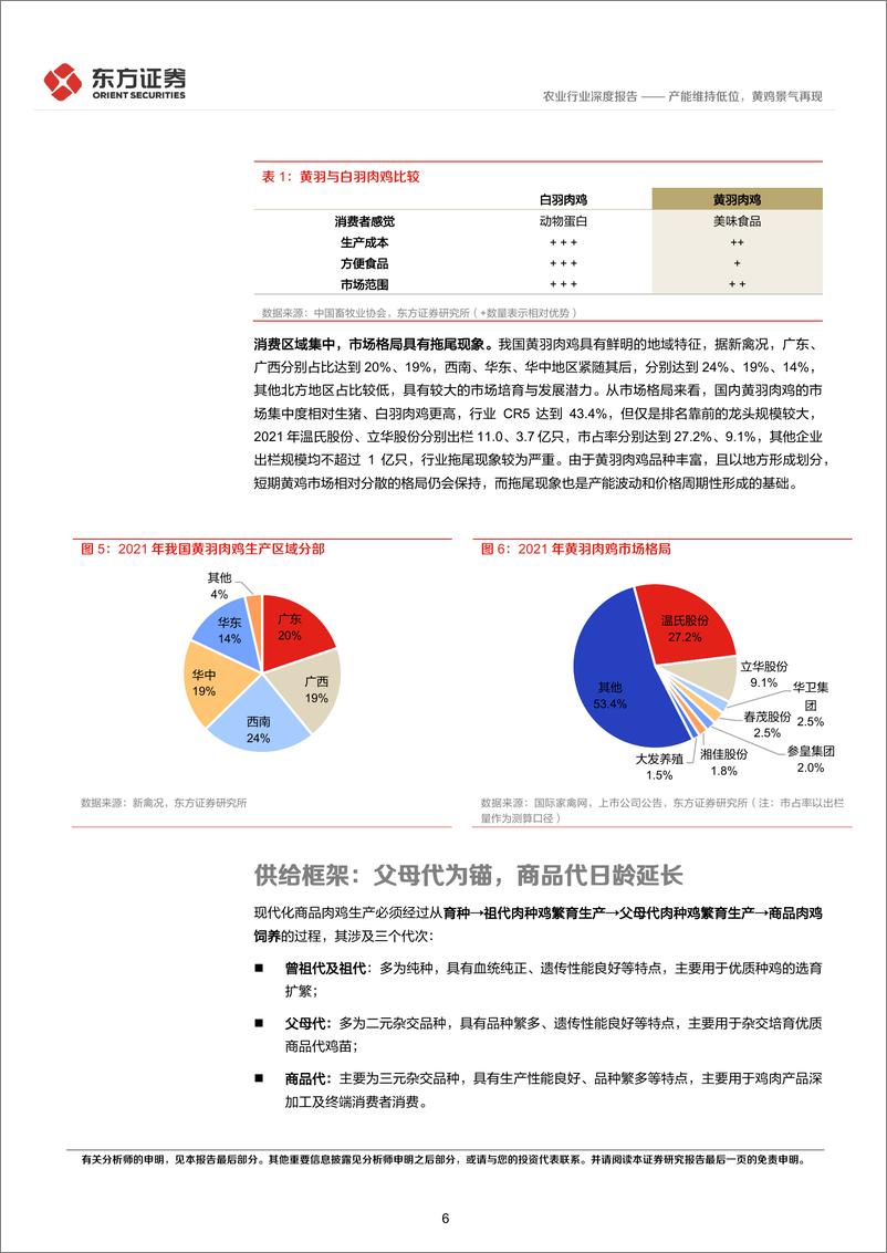 《农业禽养殖专题之三：产能维持低位，黄鸡景气再现-20230115-东方证券-20页》 - 第7页预览图