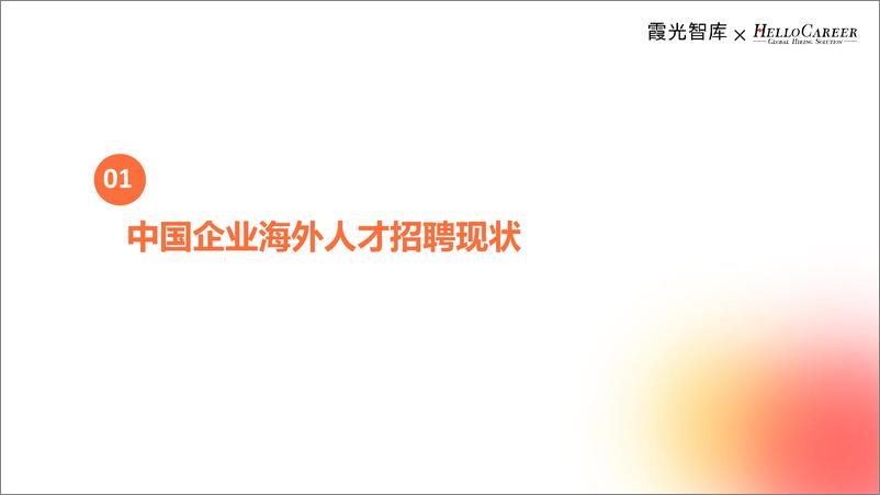 《霞光智库：2024年中国企业海外人才招聘洞察》 - 第5页预览图