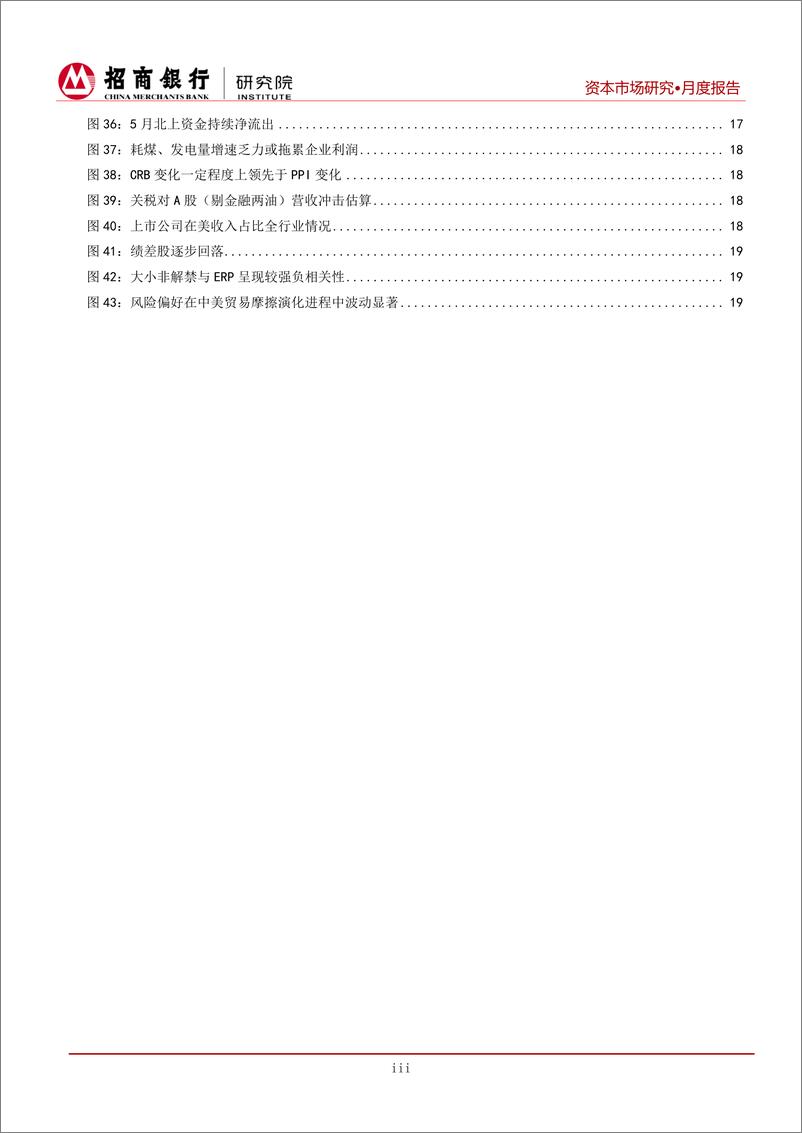 《资本市场月报（2019年5月）：风急惊雀，股债接受扰动考验-20190531-招商银行-24页》 - 第5页预览图