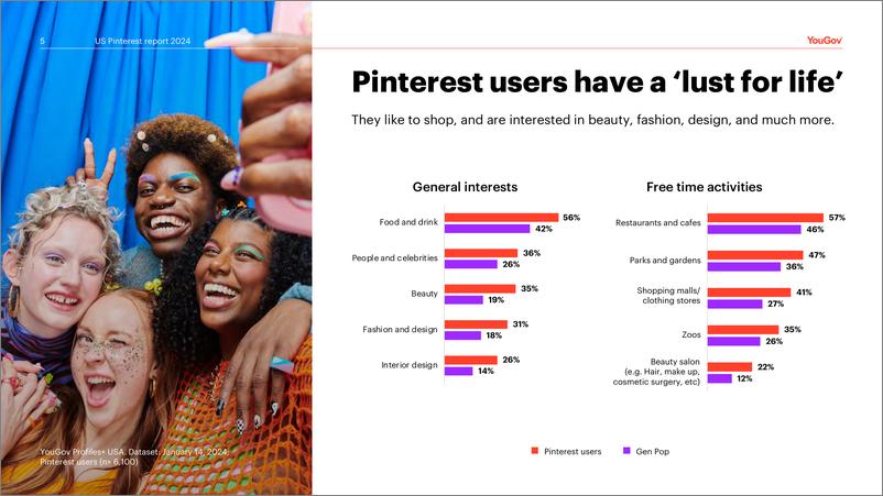 《美国Pinterest用户分析》 - 第5页预览图