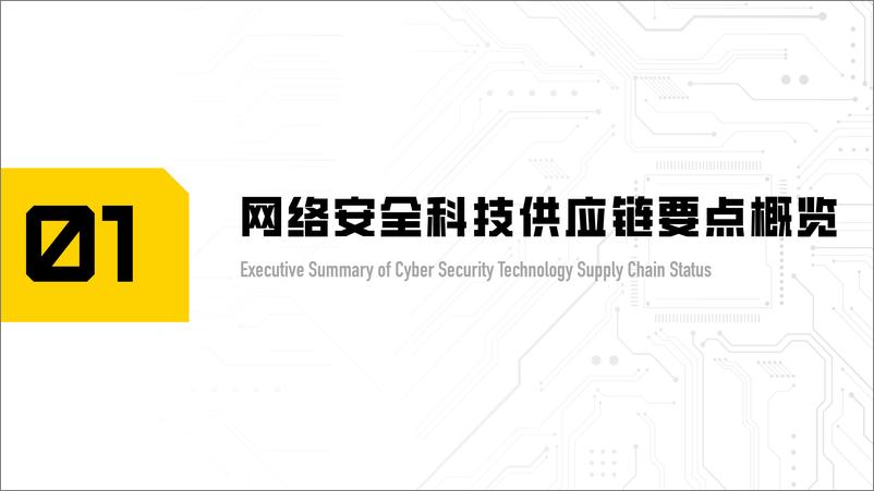 《网络安全科技供应链报告：厂商成分分析及国产化替代指南(2022第1.1版)-55页-WN9》 - 第3页预览图