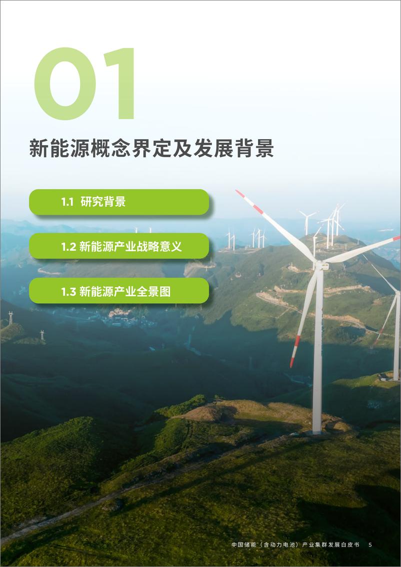 《2024中国储能（含动力电池）产业集群发展白皮书-戴德梁行&中国电池工业协会-2024.4-58页》 - 第5页预览图