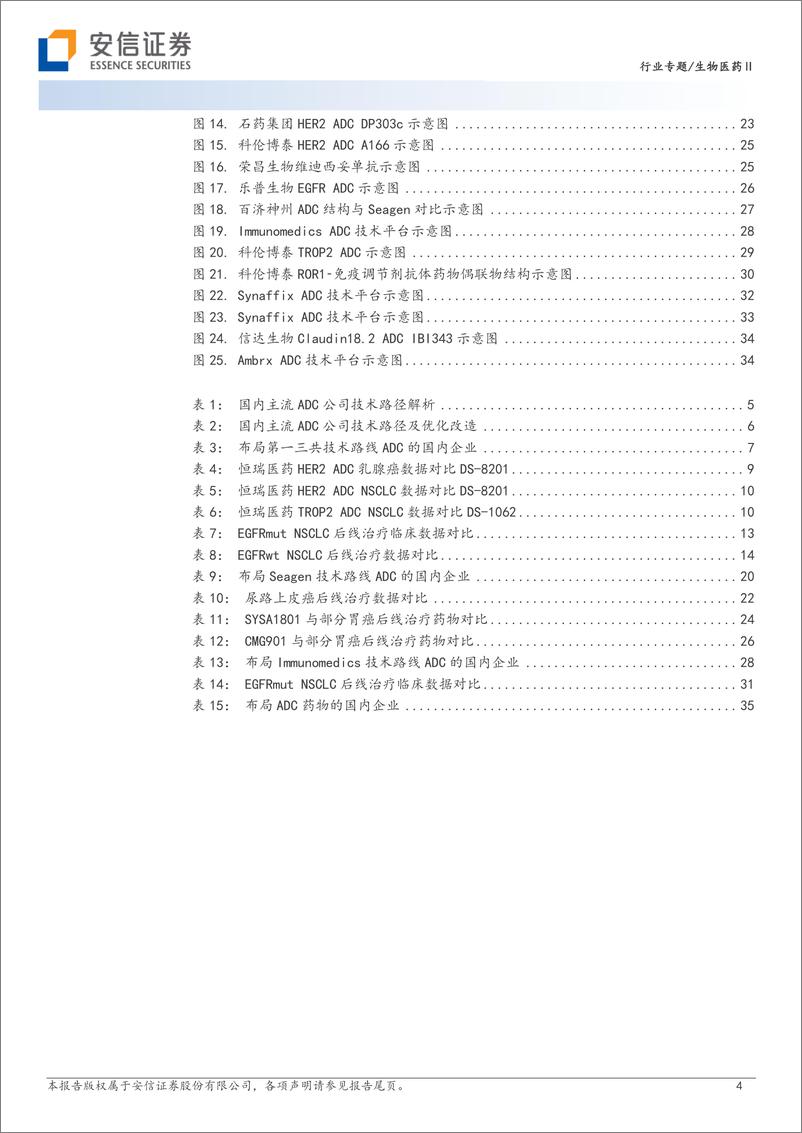 《生物医药行业创新药研究框架之ADC：国内ADC技术梳理，青出于蓝而胜于蓝-20230901-安信证券-38页》 - 第5页预览图