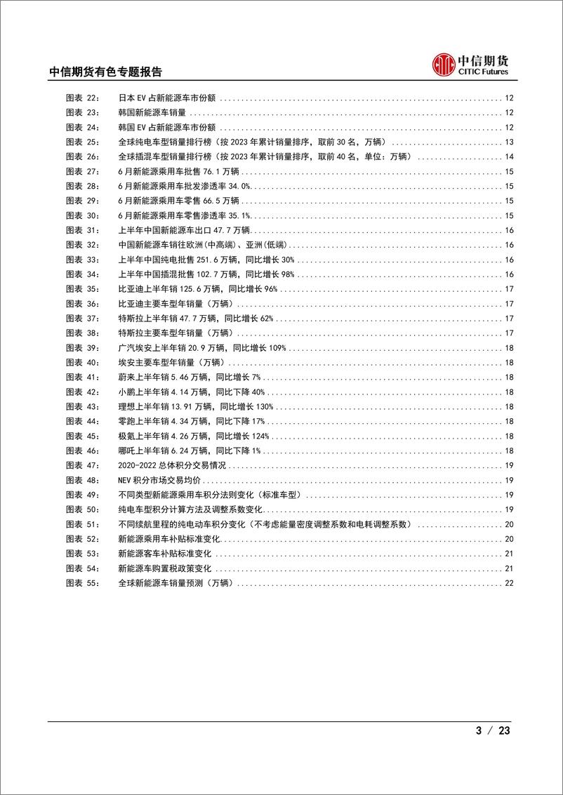 《有色与新材料专题报告（锂）：全球新能源车市分析-20230803-中信期货-23页》 - 第4页预览图