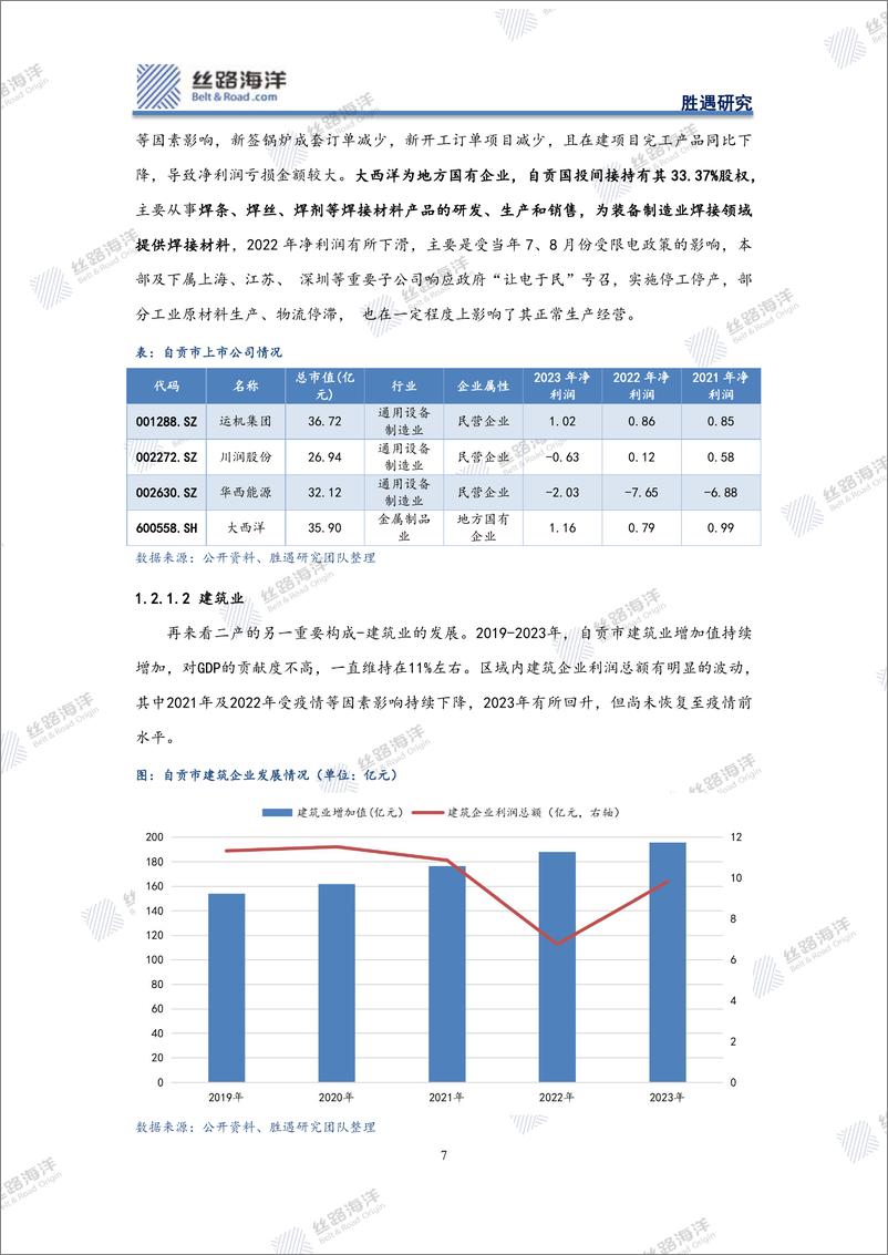 《丝路海洋-北京-科技-自贡深度：工业转型压力下，千年盐都债务如何化解》 - 第7页预览图