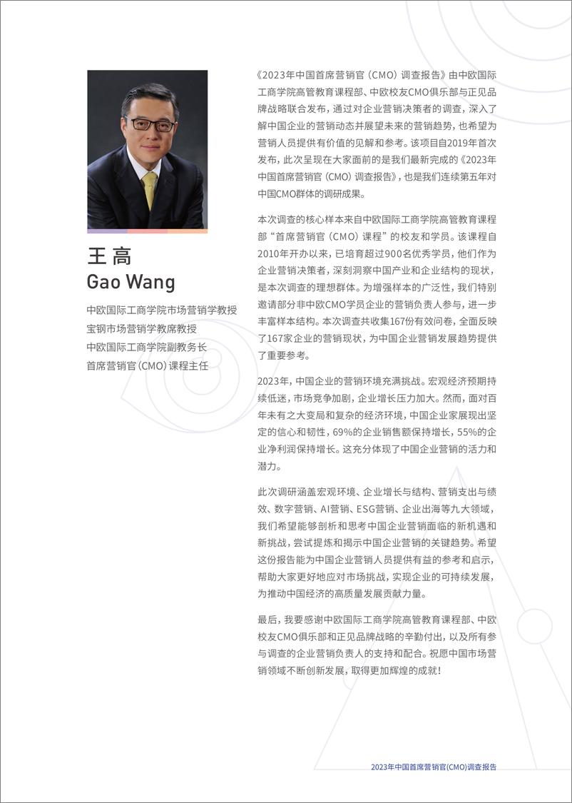 《CEIBS & 正见品牌战略：2023年中国首席营销官（CMO)调查报告》 - 第3页预览图